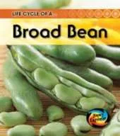Life Cycles Pack A of 5