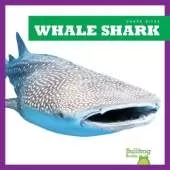 Whale Shark