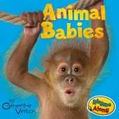 Animal Babies