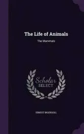 The Life of Animals: The Mammals