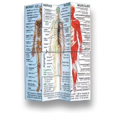 Human Body Cube Book (USA)