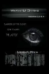 Wicked LIl Dreamz: Volumes 2,3 an 4