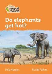 Level 4 - Do elephants get hot?
