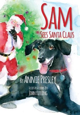 Sam Sees Santa Claus