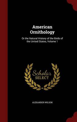 American Ornithology: Or the Natural History of the Birds of the United States; Volume 1