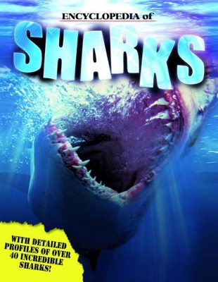Sharks (A)