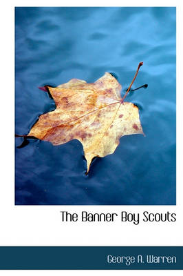 The Banner Boy Scouts
