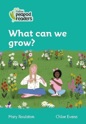 Level 3 - What can we grow?