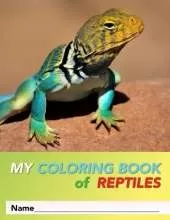 My Coloring Book Of Reptiles: 31 Pages of 8.5 x 11" Fun