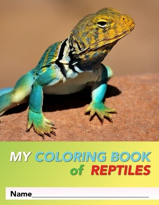 My Coloring Book Of Reptiles: 31 Pages of 8.5 x 11" Fun