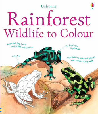 Rainforest to Colour