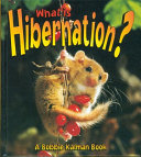 What is Hibernation?