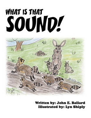 What Is That Sound!