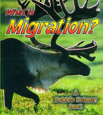 What is Migration?