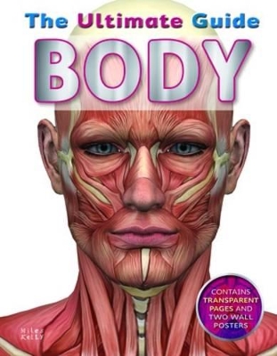 Body