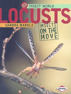 Locusts: Insects on the Move