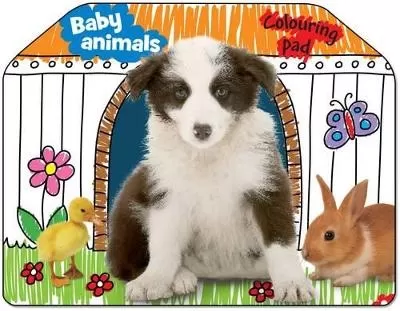 Baby Animals Colouring Pad