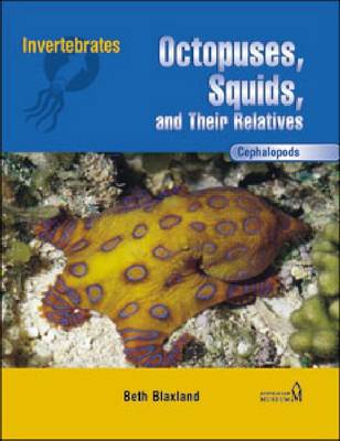 Cephalopod: Octopuses, Squids, and Their Relatives