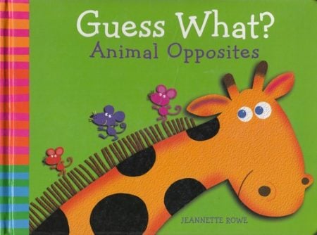 At the Zoo