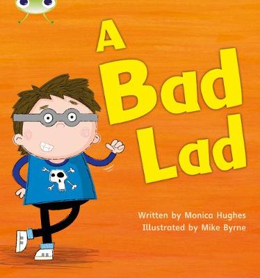 Phonics Bug Phase 2-5 Single Titles