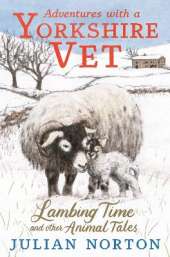 Adventures with a Yorkshire Vet: Lambing Time and Other Animal Tales: Charming animal adventures for 8–11 readers