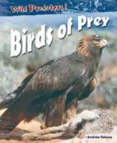 Birds Of Prey